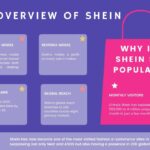 Problemas al visualizar las secciones y líneas de productos de Shein: soluciones.